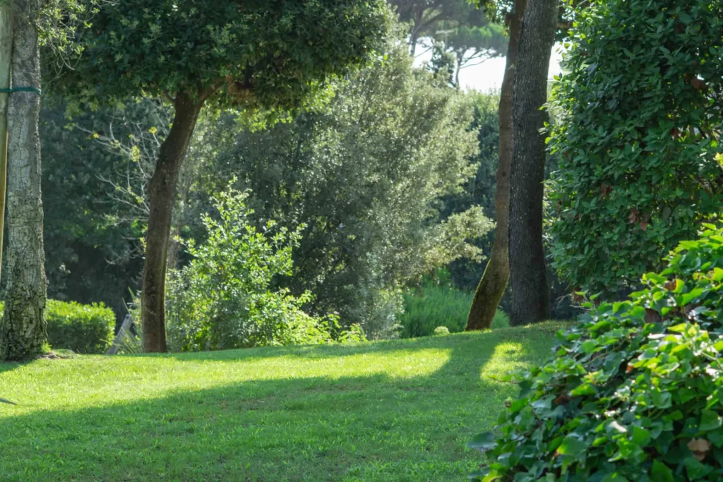 Dettaglio giardino privato