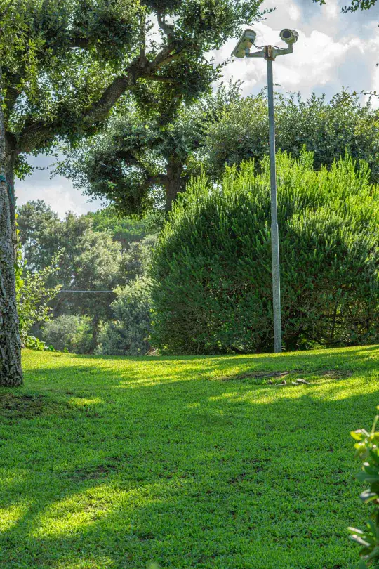 Dettaglio giardino